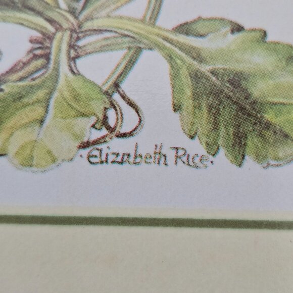 Set 6 Clover Leaf Vintage Cork Coasters 4" VIRGINIA USA Floral Elizabeth Rice - Picture 3 of 13